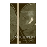 Encyclopedia of Education and Neuroscience: A real approach to the interaction between education and neuroscience