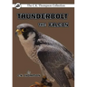 Thunderbolt the Falcon