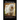Havanese Havanese Training Guide for Havanese Dogs and Havanese Puppies A Havanese Savvy Book by DiG TH!S Dog Training: Havanese Training Begins From