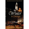 Winter in Chicago