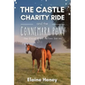The Castle Charity Ride and the Connemara Pony - The Coral Cove Horses Series