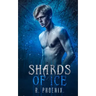 Shards of Ice: An M/M Retelling of 'The Snow Queen'
