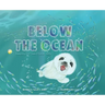 Below the Ocean: Keeping Our Sea Friends Safe