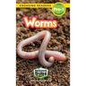 Worms: Backyard Bugs and Creepy-Crawlies (Engaging Readers, Level Pre-1)
