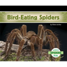 Bird-Eating Spiders