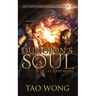 A Dungeon's Soul: Book 3 of the Adventures on Brad