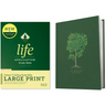 NLT Life Application Study Bible, Third Edition, Large Print (Red Letter, Hardcover)