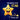 The Brave Little Star