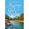 Praising God in the Valley: Lessons and Other Blessings in the Journey Through Cancer