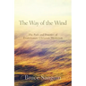 The Way of the Wind: The Path and Practice of Evolutionary Christian Mysticism