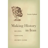 Making History in Iran: Education, Nationalism, and Print Culture