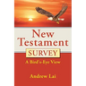 New Testament Survey: A Bird's-Eye View