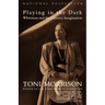 Playing in the Dark: Whiteness and the Literary Imagination