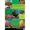 The Trees of San Francisco