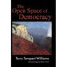 The Open Space of Democracy