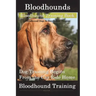 Bloodhounds, Bloodhound Training Book For both Bloodhound Dogs & Bloodhound Puppies By D!G THIS DOG Training: Dog Training Begins From the Car Ride Ho