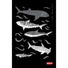 Diving Log Book: Sharks