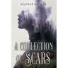 A Collection of Scars