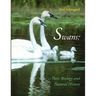 Swans: Their Biology and Natural History