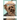 Training Handbook For Yorkshire Terrier: The Ultimate Guide To Train Your Yorkshire Terrier At Home: Techniques To Train A Yorkshire Terrier