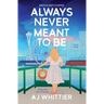 Always Never Meant To Be: A Love Story