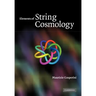 Elements of String Cosmology