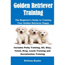 Golden Retriever Training: The Beginner's Guide to Training Your Golden Retriever Puppy: Includes Potty Training, Sit, Stay, Fetch, Drop, Leash T