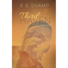 Third Haven: A Novel of Deceit
