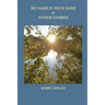My Name Is Your Name & Other Stories