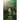 Reunion with Source