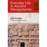 Everyday Life in Ancient Mesopotamia