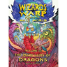 Wizards Warp: The Maze Lairs Of Dragons (Volume3)