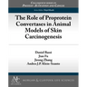 The Role of Proprotein Convertases in Animal Models of Skin Carcinogenesis
