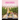 Flavors of the Temecula Valley Wineries