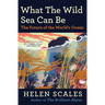 What the Wild Sea Can Be: The Future of the World's Ocean