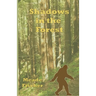 Shadows in the Forest