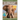 Elephant: Fascinating Animal Facts for Kids