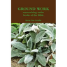 GROUND WORK memorizing entire books of the Bible