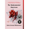 The Undocumented Americans