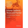 Polymer Synthesis: Theory and Practice: Fundamentals, Methods, Experiments