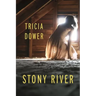 Stony River