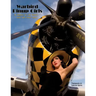 Warbird Pinup Girls: A Tribute to the 1940's Nose Art Pinup Girls