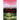What Lies Beyond, Within
