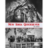 New Idria Quicksilver: History of the New Idria Mining District