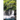 Tales From Wexford Falls