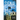 Signal