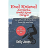 Evel Knievel Jumps the Snake River Canyon: new edition with stories from those who were there