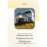 Extensive Bio Gas Production Process Optimization