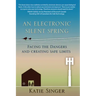 An Electronic Silent Spring: Facing the Dangers and Creating Safe Limits