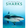 Sharks: Amazing Pictures & Fun Facts on Animals in Nature